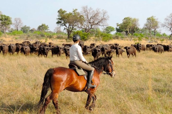 Horse Riding Safari in Uganda